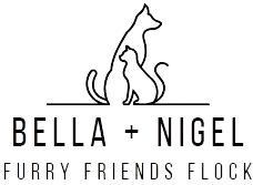 Bella + Nigel