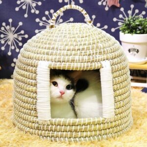 Cat House