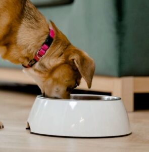 Bowls