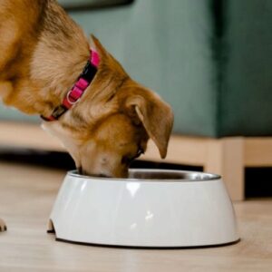 Bowls